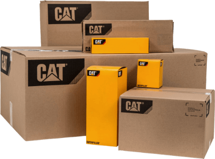 BanglaCat