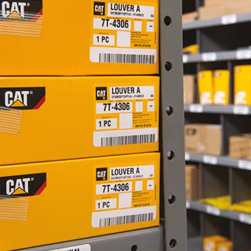 Cat Parts